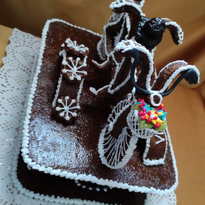 30.800 Ft  2,2 kg-tandembicaj