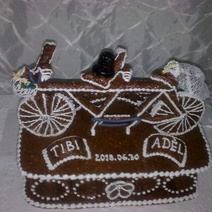 30.800 Ft  2,2 kg tandembicaj