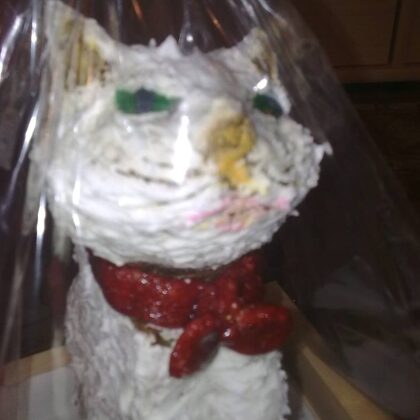 25.200 Ft  1,8 kg ehető cicuka grillázsból