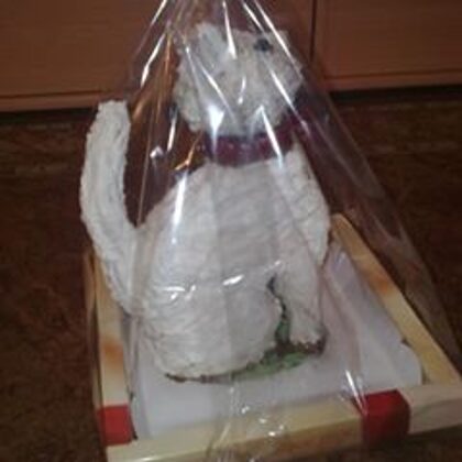 25.200 Ft   grillázs cica