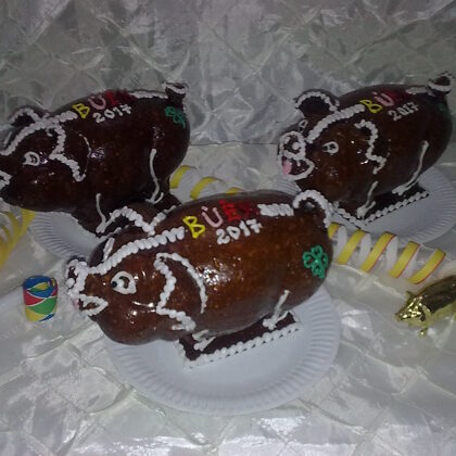 4200 Ft / db  grillázs malacka. 20 cm hosszú, 10 cm magas